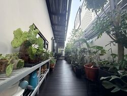Serangoon Garden Estate (D19), Semi-Detached #605456001